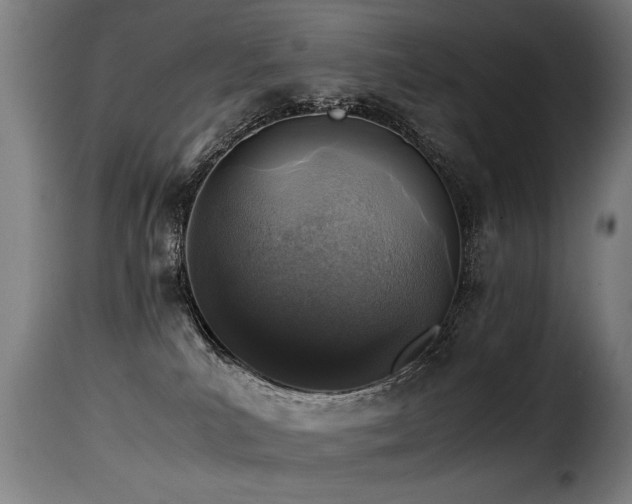 X0000116000039200911191434