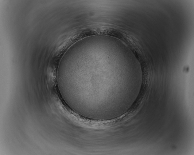 X0000116000040200911191434