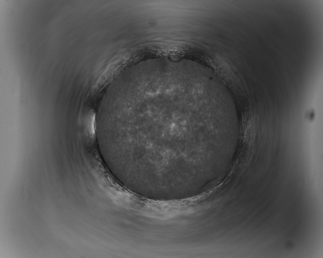 X0000116000041200911191434