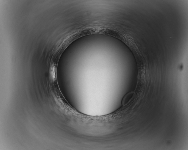 X0000116000042200911191434