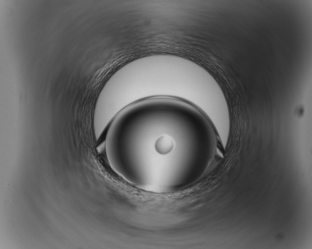 X0000116000043200911191434