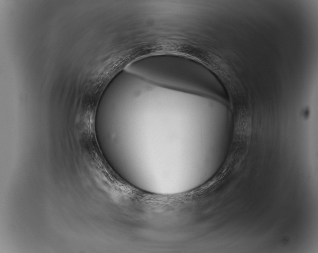 X0000116000045200911191434