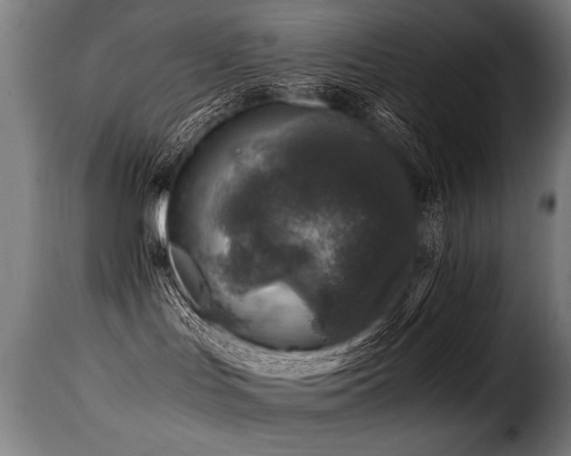 X0000116000047200911191434