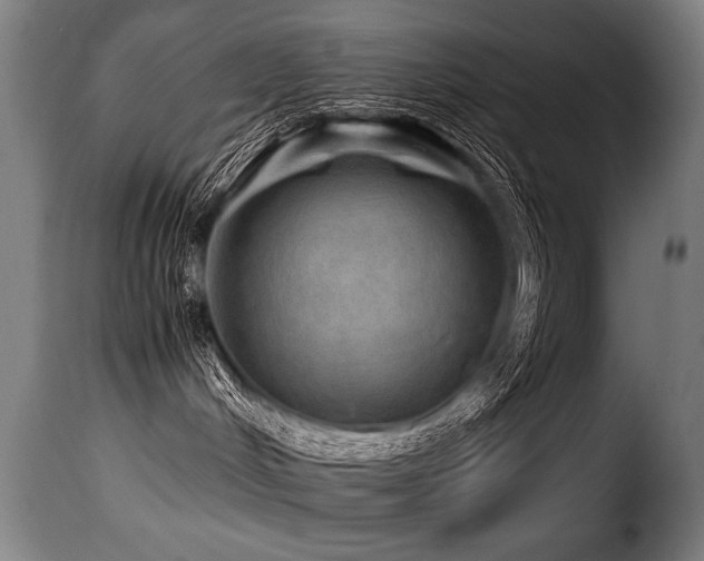 X0000116000048200911191434