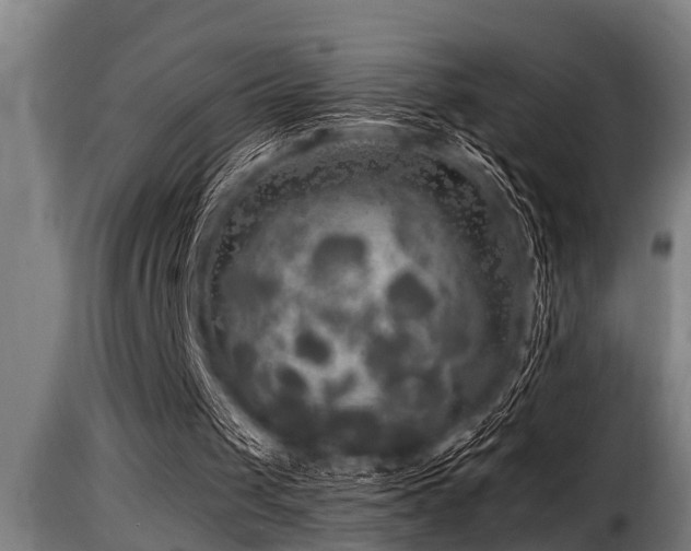 X0000116000049200911191434