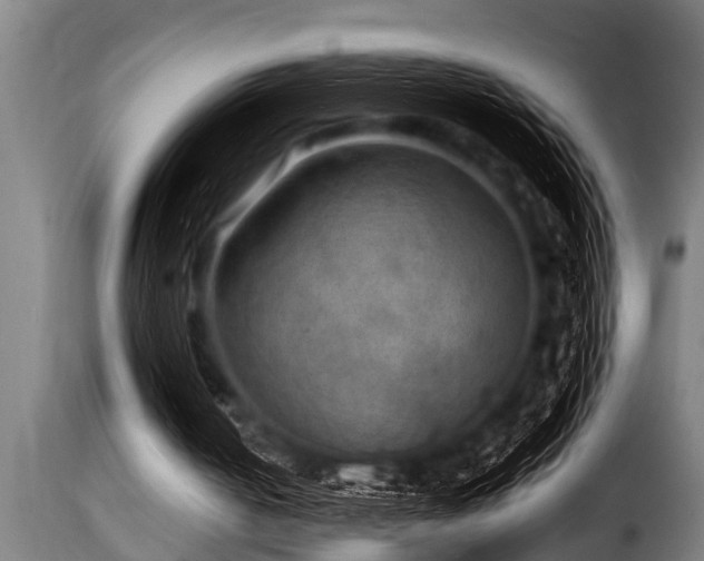 X0000116000050200911191434