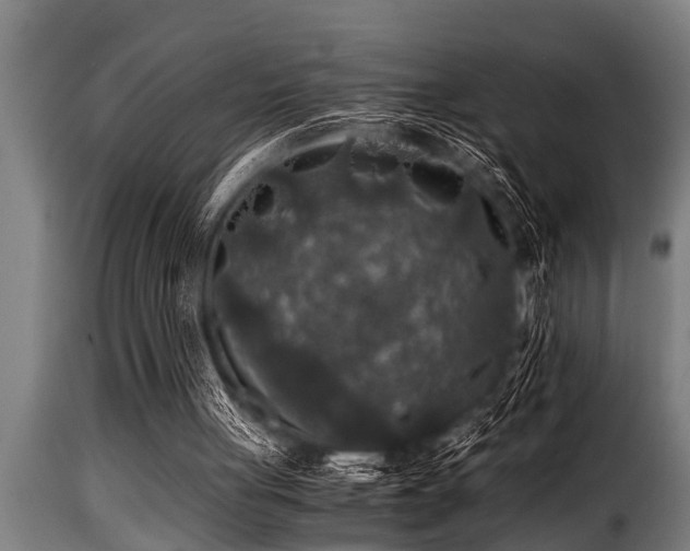 X0000116000051200911191434