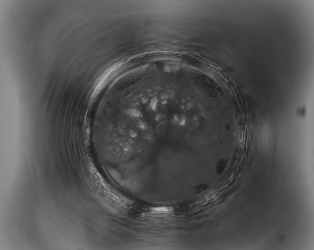 X0000116000053200911191434