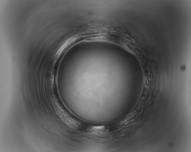 X0000116000054200911191434