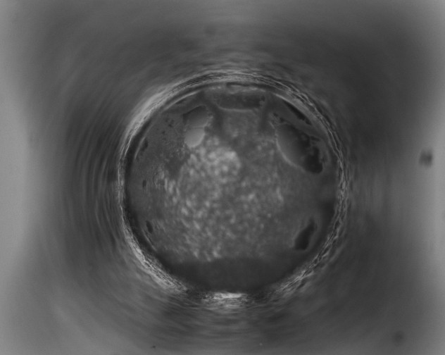 X0000116000055200911191434