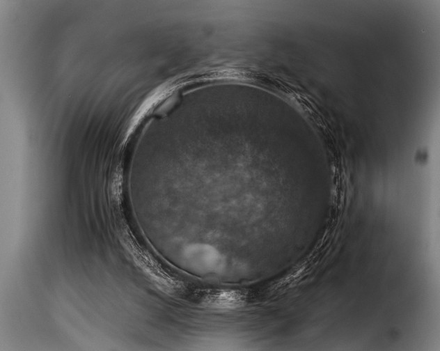 X0000116000056200911191434