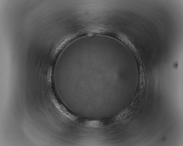 X0000116000058200911191434