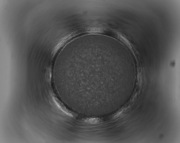 X0000116000059200911191434