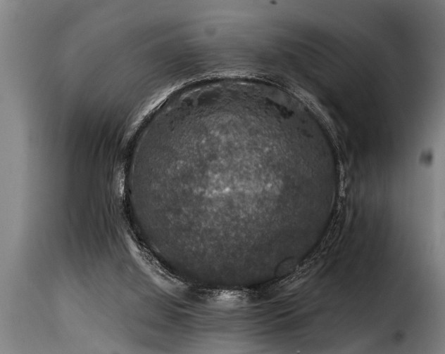 X0000116000060200911191434