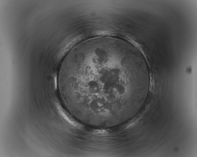 X0000116000061200911191434