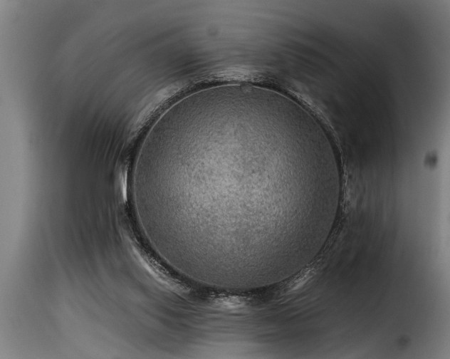 X0000116000062200911191434