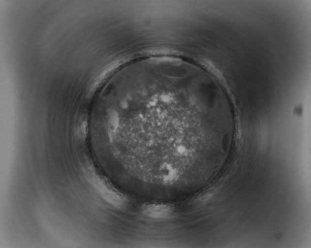 X0000116000063200911191434