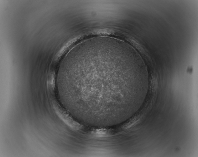 X0000116000064200911191434