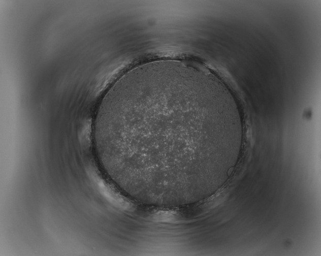 X0000116000066200911191434