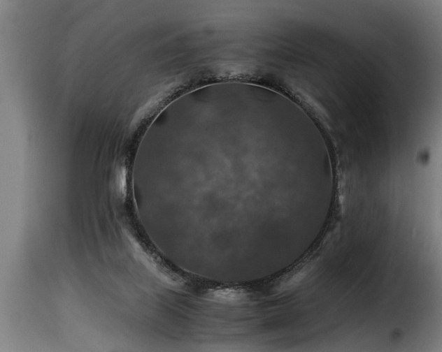 X0000116000067200911191434