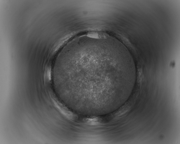 X0000116000068200911191434