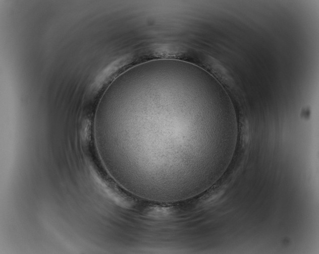 X0000116000071200911191434