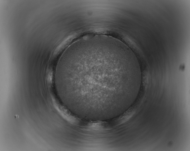 X0000116000072200911191434