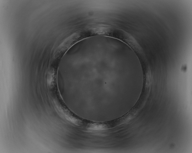 X0000116000073200911191434