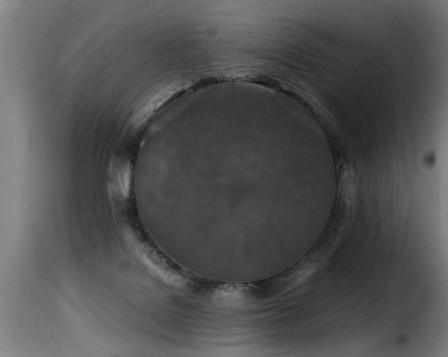 X0000116000076200911191434