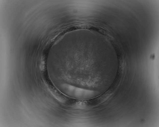 X0000116000080200911191434