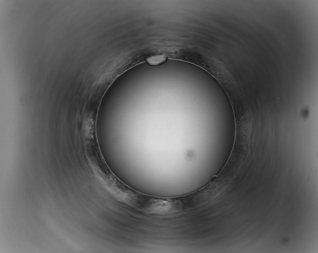 X0000116000083200911191434