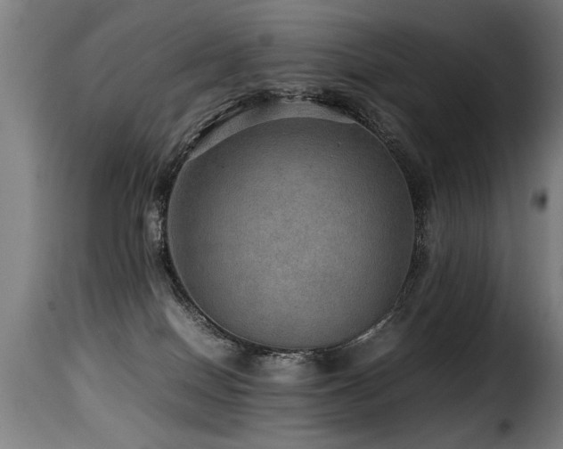 X0000116000086200911191434