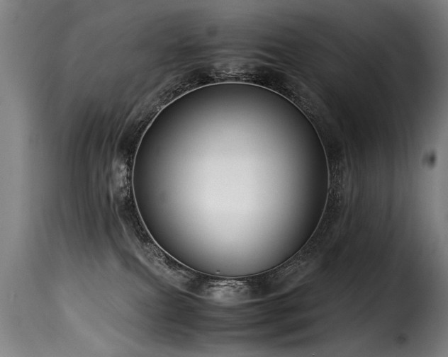 X0000116000087200911191434