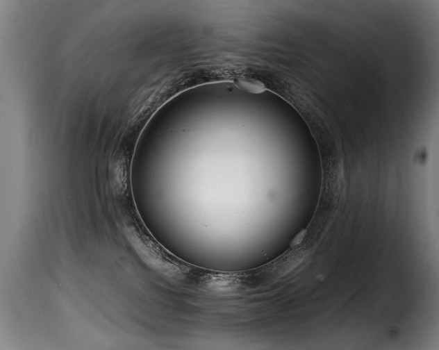 X0000116000088200911191434