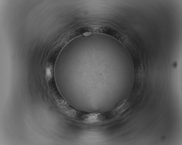 X0000116000090200911191434