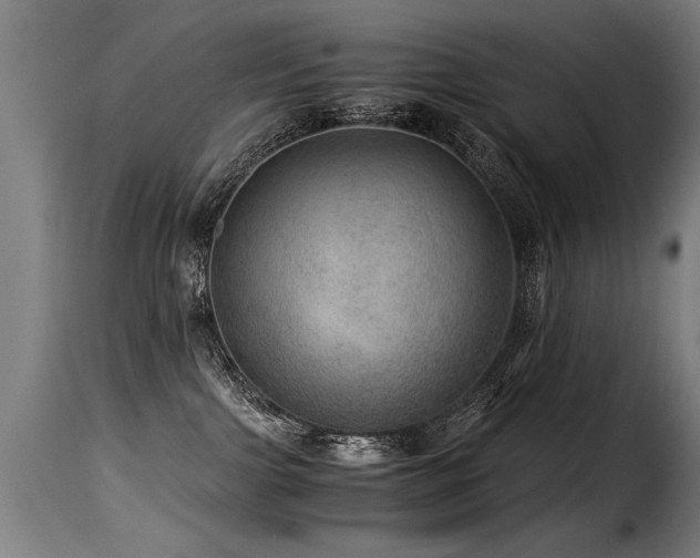 X0000116000091200911191434