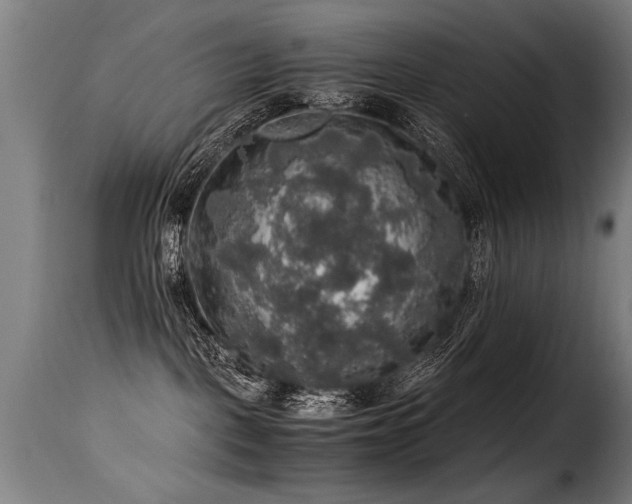 X0000116000093200911191434