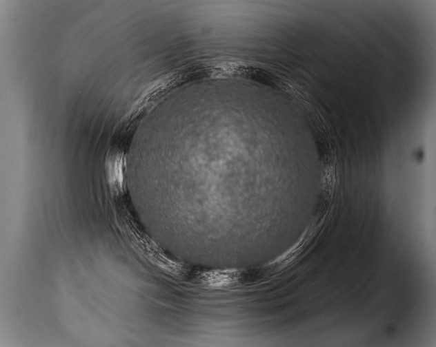 X0000116000094200911191434