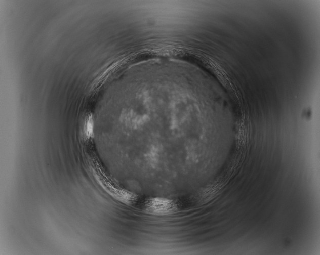 X0000116000095200911191434