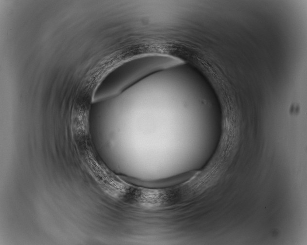 X0000116000096200911191434