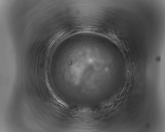 X0000116000097200911191434