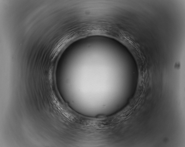 X0000116000098200911191434