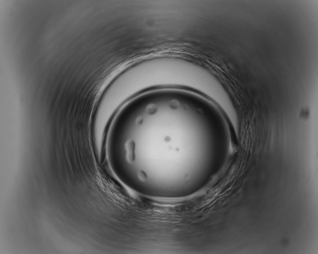 X0000116000100200911191433