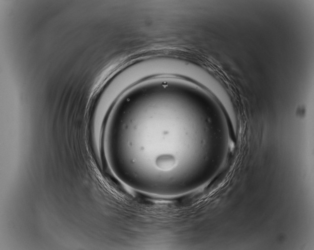 X0000116000101200911191433