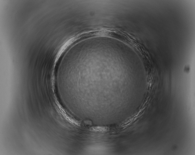 X0000116000102200911191433