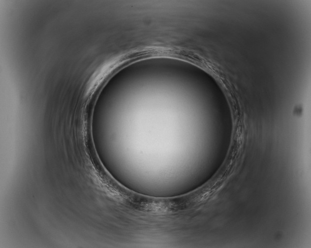 X0000116000103200911191433