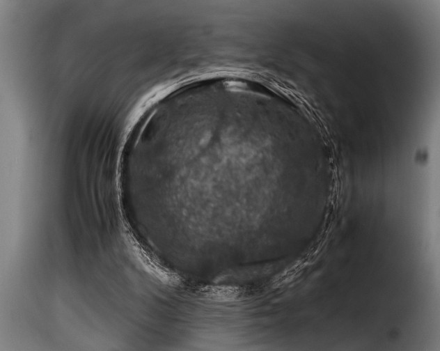 X0000116000104200911191433