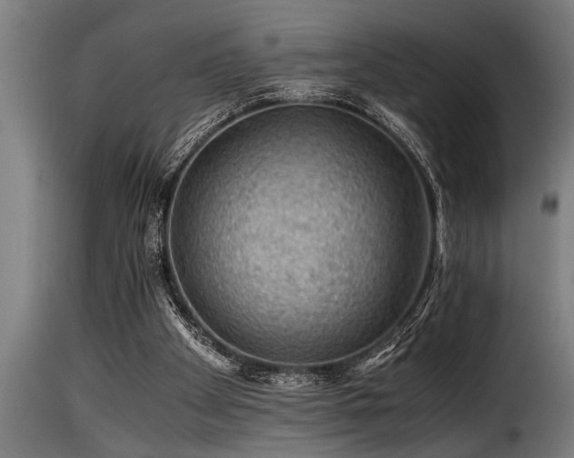 X0000116000105200911191433