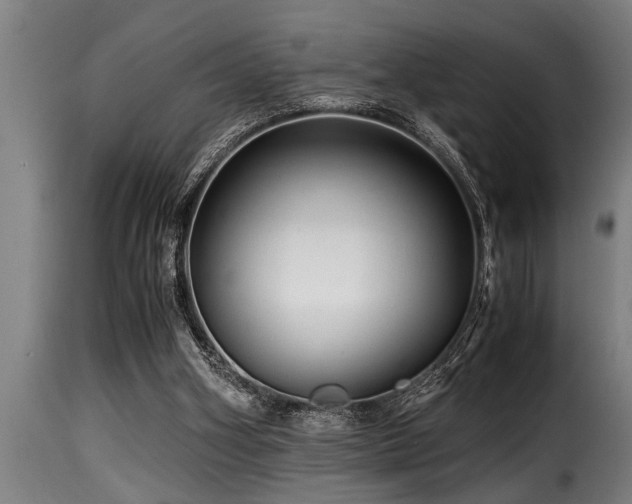 X0000116000106200911191433