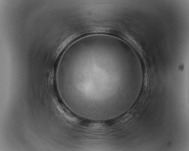 X0000116000107200911191433